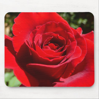 Alfombrilla De Ratón Flor rosa roja brillante hermosa flor