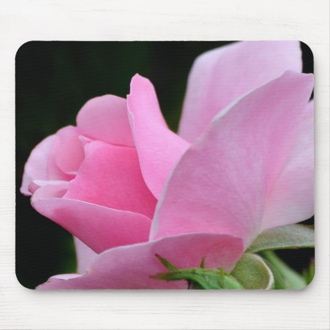 Alfombrilla De Ratón Flor rosa rosa (Frente)