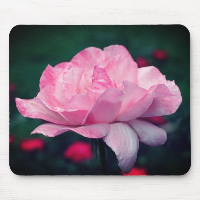 Alfombrilla De Ratón Flor rosa rosa fuerte (Frente)