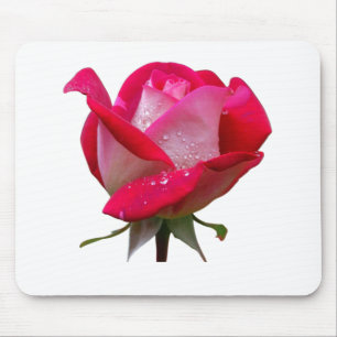 Alfombrilla De Ratón flor rosa rosa rosa rosa con gotas de agua vintage