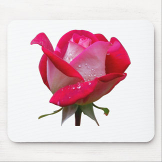 Alfombrilla De Ratón flor rosa rosa rosa rosa con gotas de agua vintage