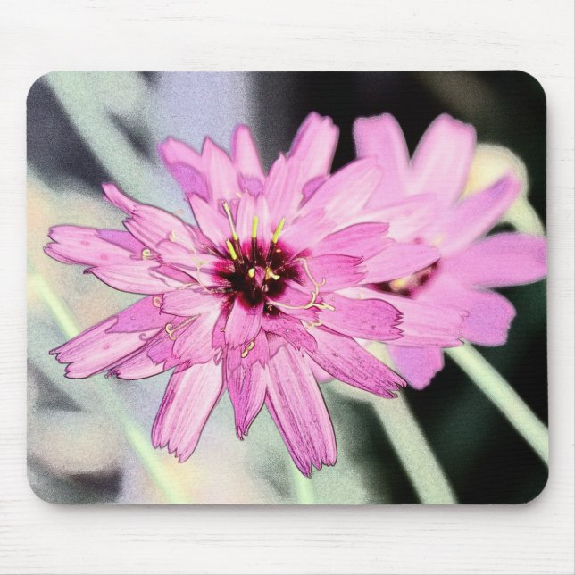 Alfombrilla De Ratón Flor rosada de margarita. Foto de arte floral. (Frente)