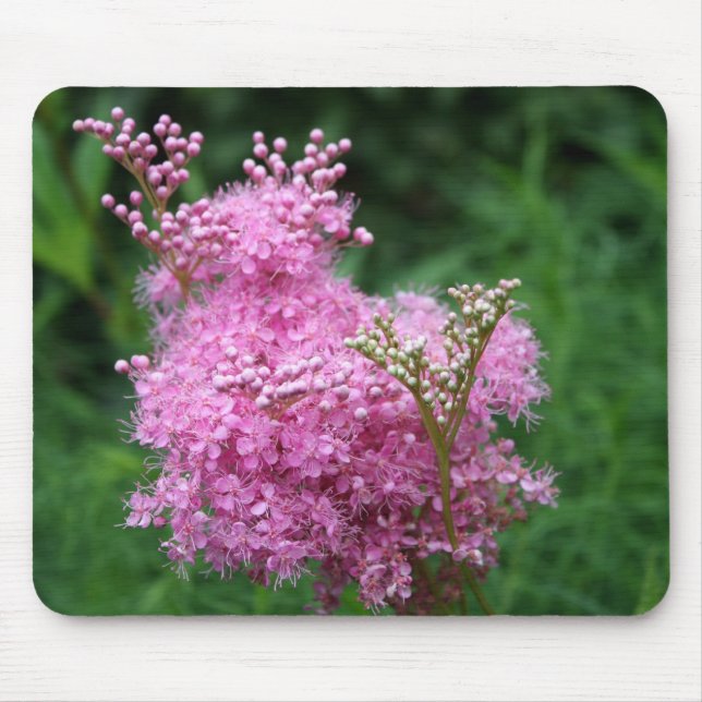 Alfombrilla De Ratón Flor rosada única Mousepad (Frente)