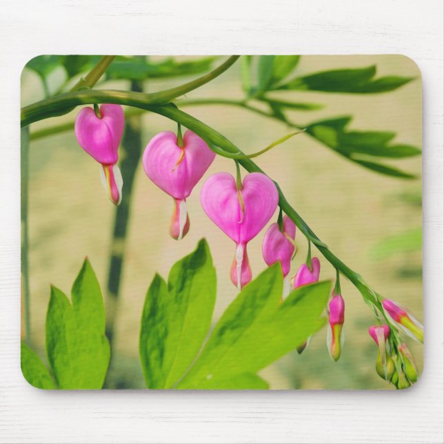 Alfombrilla De Ratón Flor Rustica asiática sangrante Corazón Lamprocapn (Frente)
