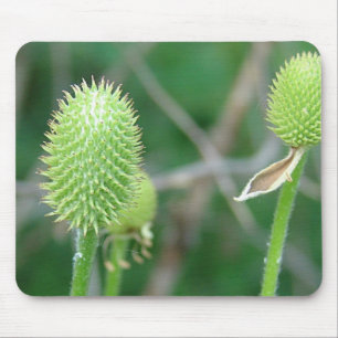 Alfombrilla De Ratón Flor silvestre 2