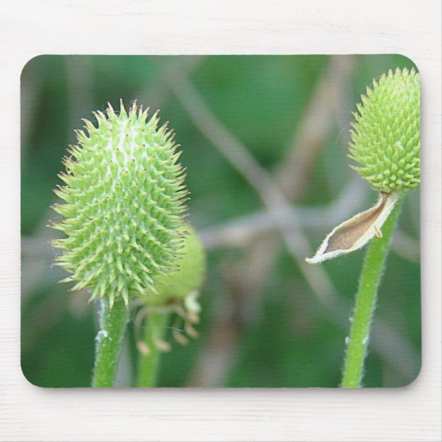 Alfombrilla De Ratón Flor silvestre 2 (Frente)