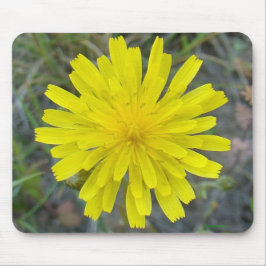 Alfombrilla De Ratón Flor Silvestre Amarilla F16 King Devil