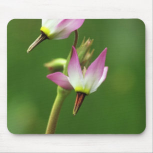 Alfombrilla De Ratón Flor silvestre de la estrella de tiro, California,