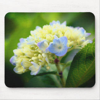 Alfombrilla De Ratón Flor suave de hidrangea