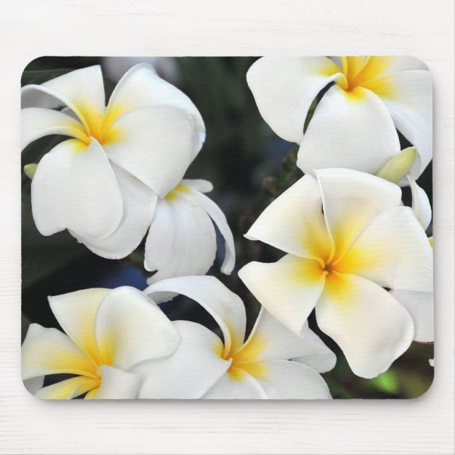 Alfombrilla De Ratón Flor tropical del Frangipani del Plumeria (Frente)