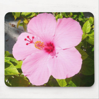 Alfombrilla De Ratón Flor tropical Hibiscus rosa