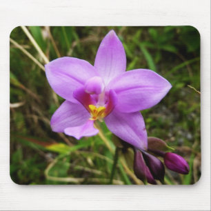 Alfombrilla De Ratón Flor tropical púrpura de orquídea salvaje