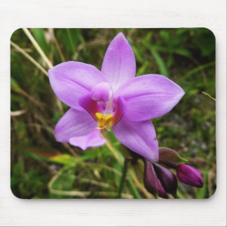 Alfombrilla De Ratón Flor tropical púrpura de orquídea salvaje