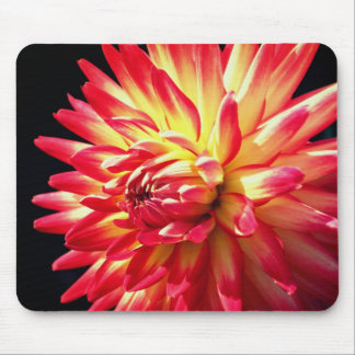 Alfombrilla De Ratón Flor vibrante roja de Dahlia