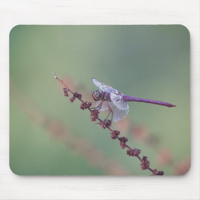 Alfombrilla De Ratón Flora de calabaza (Frente)