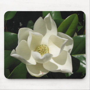 Alfombrilla De Ratón Floración de la magnolia