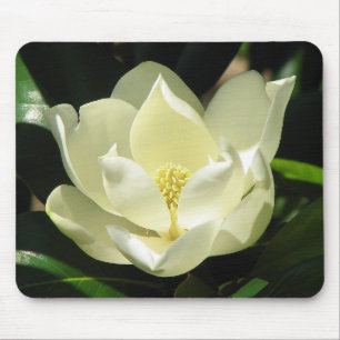 Alfombrilla De Ratón Floración de la magnolia