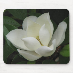 Alfombrilla De Ratón Floración de la magnolia