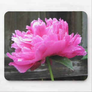 Alfombrilla De Ratón Floración rosada del Peony