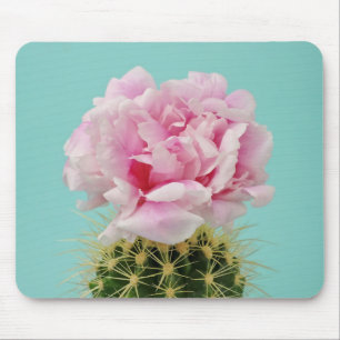 Alfombrilla De Ratón Floración rosada encima del cactus de punta