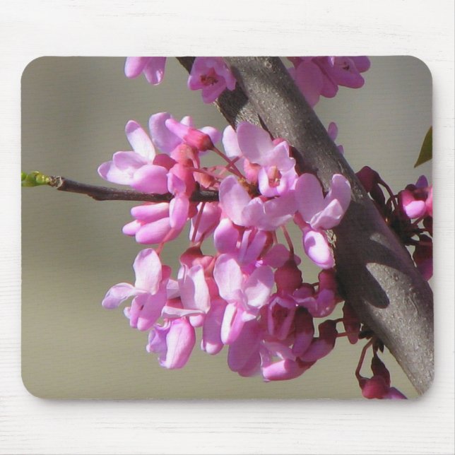 Alfombrilla De Ratón Floraciones del este de Redbud (Frente)