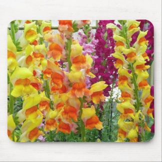 Alfombrilla De Ratón Floral colorida de Snapdragons