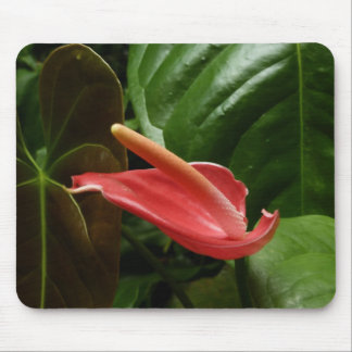 Alfombrilla De Ratón Floral de Calla Rosa Lily Elegant