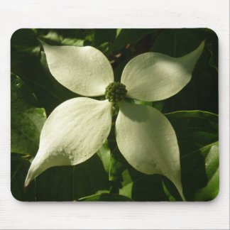 Alfombrilla De Ratón Floral de primavera de Dogwood Blossom iluminada p