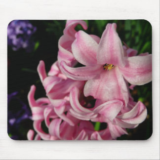 Alfombrilla De Ratón Floral de primavera de Hyacint rosado