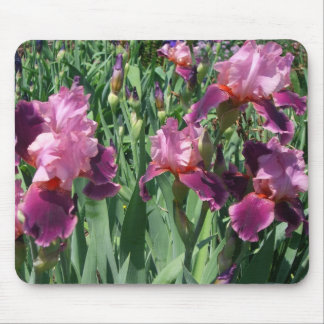 Alfombrilla De Ratón Floral de primavera de irisis moradas