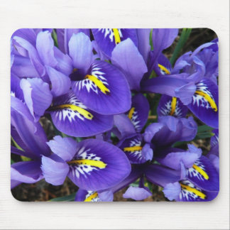 Alfombrilla De Ratón Floral de primavera de irlandeses azules en miniat