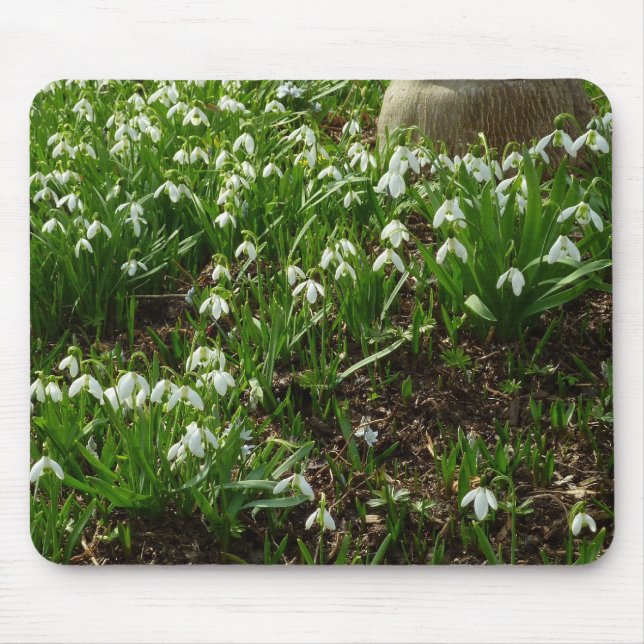 Alfombrilla De Ratón Floral de primavera (Galanthus) (Frente)