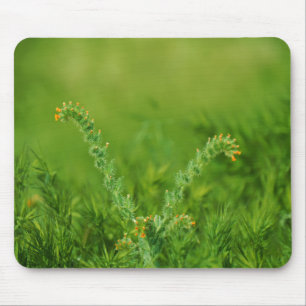 Alfombrilla De Ratón Floral salvaje verde