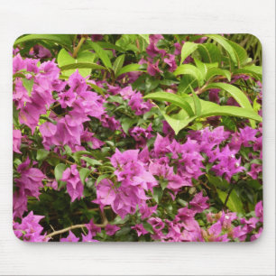 Alfombrilla De Ratón Floral Tropical Morada Bougainvillea