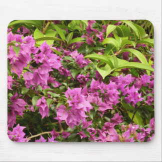 Alfombrilla De Ratón Floral Tropical Morada Bougainvillea