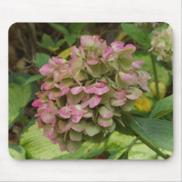 Alfombrilla De Ratón Florecer de Hortensia de Otoño con Hojas Doradas d