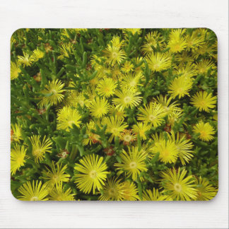 Alfombrilla De Ratón Flores amarillas de la planta de hielo de oro