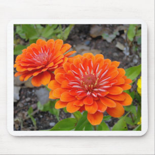 Alfombrilla De Ratón Flores anaranjadas del Zinnia