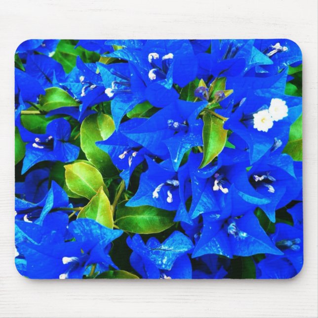 Alfombrilla De Ratón Flores azules vibrantes del Bougainvillea (Frente)