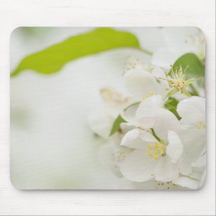 Alfombrilla De Ratón flores blancas de cerezo