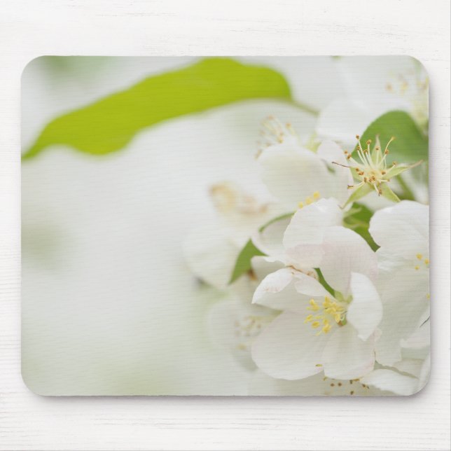 Alfombrilla De Ratón flores blancas de cerezo (Frente)