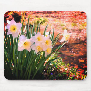 Alfombrilla De Ratón Flores Blancas De Daffodil Por Brook