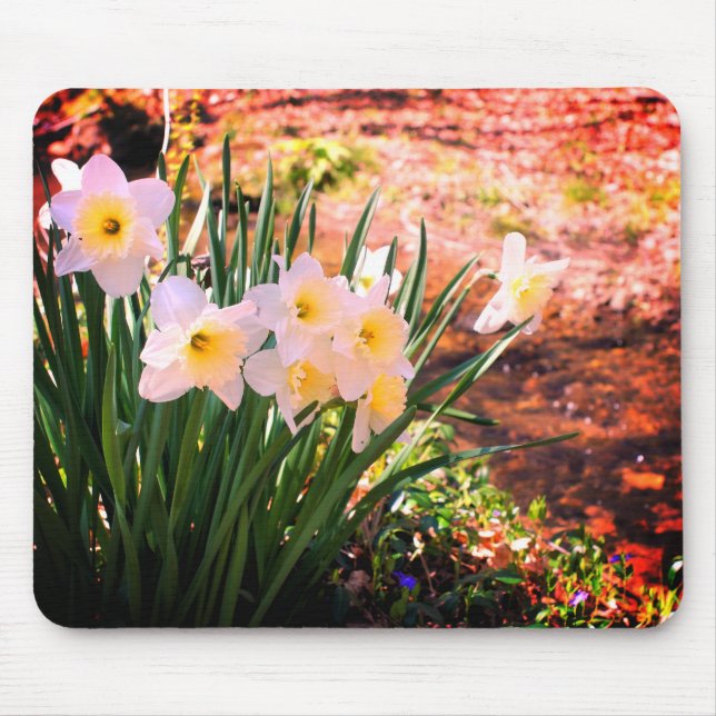 Alfombrilla De Ratón Flores Blancas De Daffodil Por Brook (Frente)