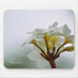 Alfombrilla De Ratón Flores blancas de Plumeria Kauai (foto tomada por