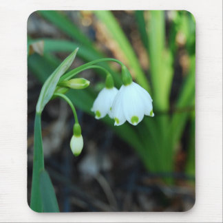 Alfombrilla De Ratón Flores blancas delicadas de Alleghany Spurge