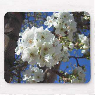 Alfombrilla De Ratón Flores blancas en el árbol perverso ornamental