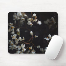 Flores blancas melancólicas sobre fondo oscuro