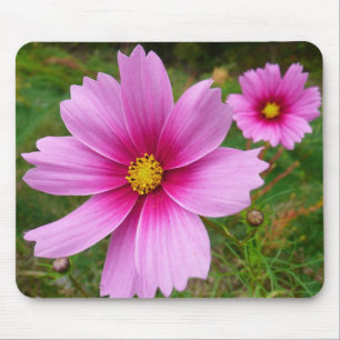 Alfombrilla De Ratón Flores Cosmos rosadas Flores silvestres