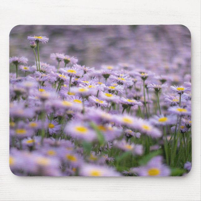 Alfombrilla De Ratón Flores de Aster Púrpura (Frente)