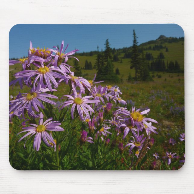 Alfombrilla De Ratón Flores de Aster Púrpura en Monte Rainier (Frente)